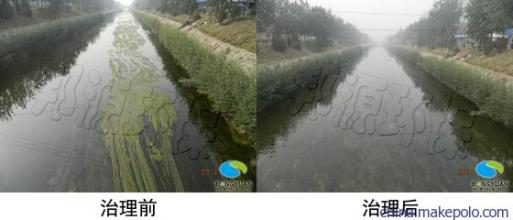 此图片无法加载